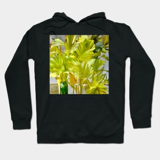 Palm Leaves with Green Bottle Hoodie